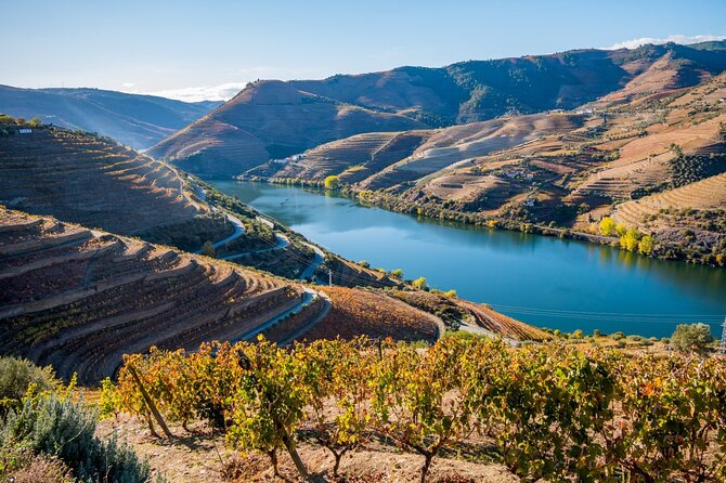 Douro Valley Delights Wine Tasting and Scenic Vistas - Quinta do Tedo: organic vines and panoramic tasting views