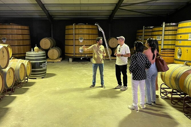 Douro Valley Exclusive and Sustainable Experience from Porto - Why this Douro day trip works from Porto