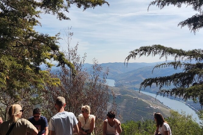 Douro Valley Exclusive and Sustainable Experience from Porto - Quinta Seara d’Ordens: guided tour and tastings that feel specific