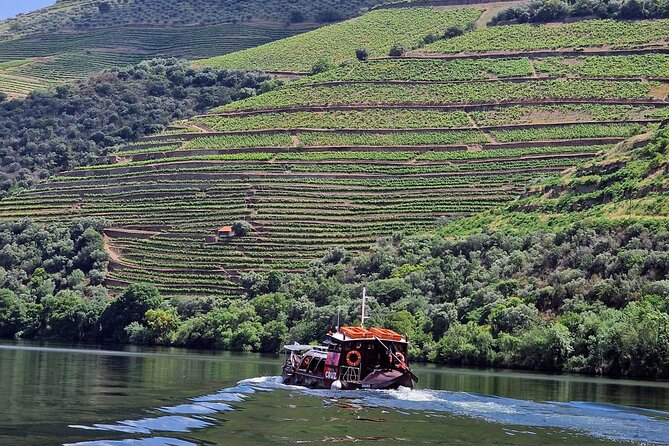 Douro Valley-Expert Guide-Boat-Lunch-Tastings-Offer wine bottle - Key things to know before you go