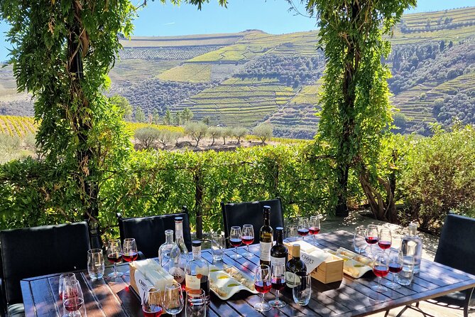 Douro Valley-Expert Guide-Boat-Lunch-Tastings-Offer wine bottle - The best part starts with the Porto pickup and small-group pace