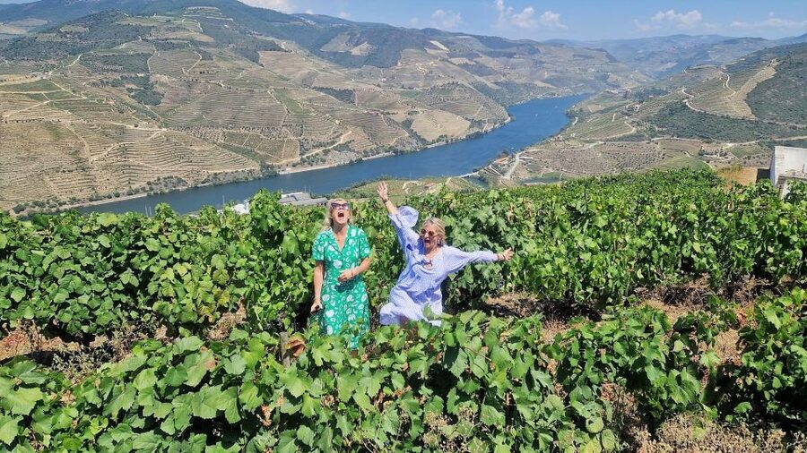 Douro Valley-Expert Guide-Boat-Lunch-Tastings PremiumService - The Second Round of Views and the End of a Full-Day Loop