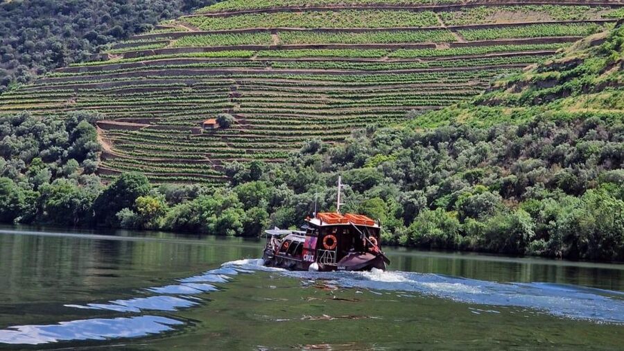 Douro Valley-Expert Guide-Boat-Lunch-Tastings PremiumService - Getting From Porto to the Valley Without the Headaches