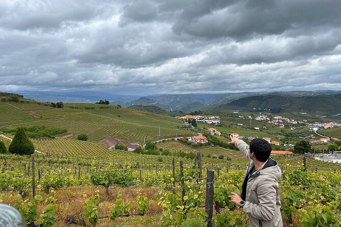 Douro Valley for Wine Lovers with Visit to 4 Wineries and Lunch - Value check: is about $205 a smart move?