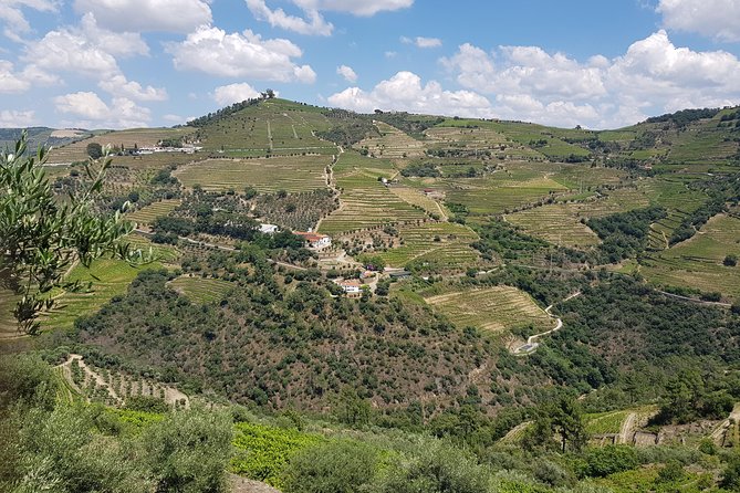 Douro Valley for Wine Lovers with Visit to 4 Wineries and Lunch - Getting from Porto to the valley without the hassle