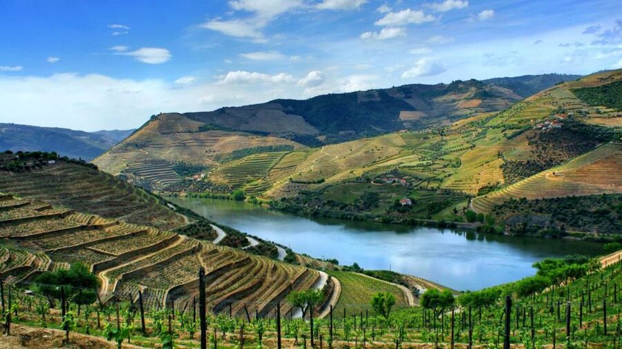 Douro Valley: Full-Day Private Tour from Porto - From Porto to Amarante, you start with a story you can see