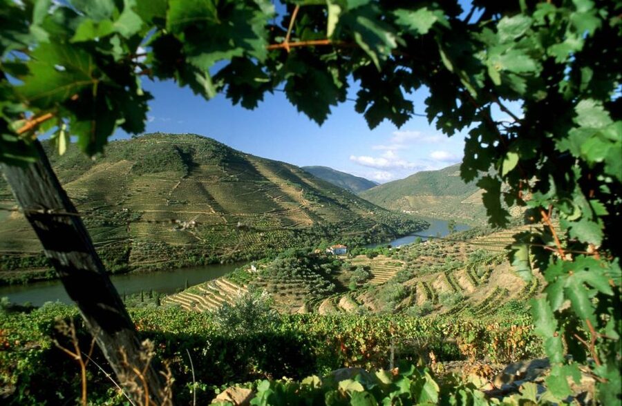 Douro Valley: Full-Day Private Tour from Porto - Régua lunch with Bagaúste Dam views, plus a real menu