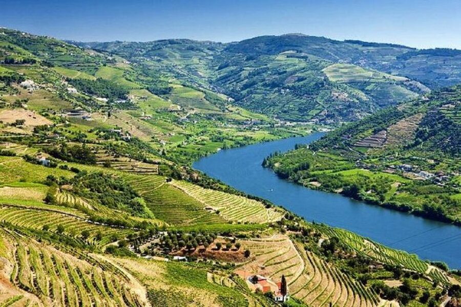 Douro Valley: Full-Day Private Tour from Porto - Douro Valley terraced vineyards and the delicatessen tasting angle
