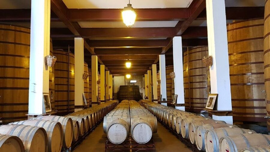 Douro Valley: Full-Day Private Tour from Porto - Price and value: what $326 buys you in a private 10-hour day