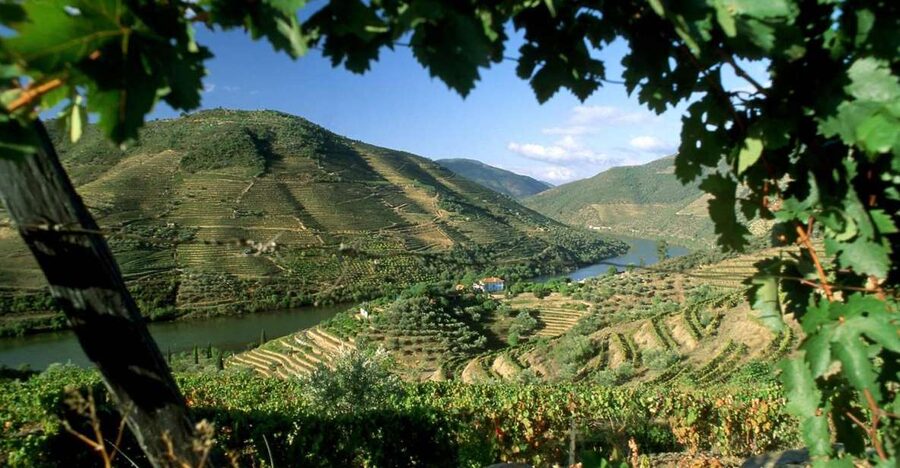 Douro Valley: Full-Day Private Tour from Porto - Amarante Bridge and the old town walk you will actually remember