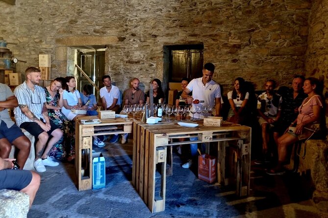 Douro Valley Guided Tour of 3 Vineyards with Lunch - Key highlights you can count on