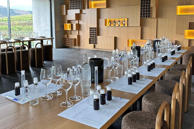 Douro Valley Guided Tour of 3 Vineyards with Lunch - Douro UNESCO, explained in plain human terms