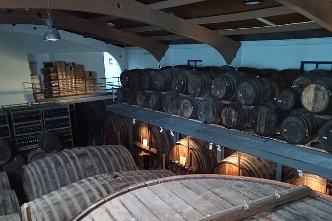 Douro Valley Guided Tour of 3 Vineyards with Lunch - Group size, vehicle comfort, and why pacing is part of the deal