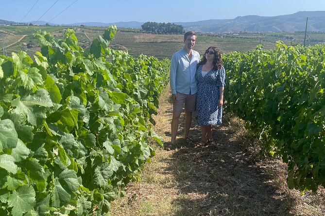 Douro Valley half day tour - Price and value: what you get without a full-day commitment