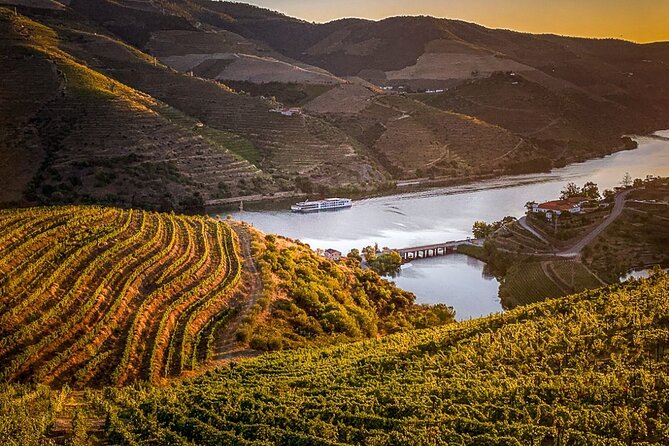 Douro Valley Half-Day Tour: Wine Tasting and Boat Ride - Peso da Régua Winery Stop: Small, Family-Run Tastings