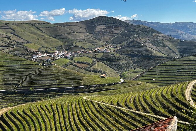 Douro Valley Half-Day Tour with Winery and Lunch From Porto - A Douro Valley Half-Day That Fits Porto Time