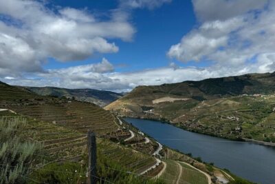 Douro Valley Half-Day Tour with Winery and Lunch From Porto