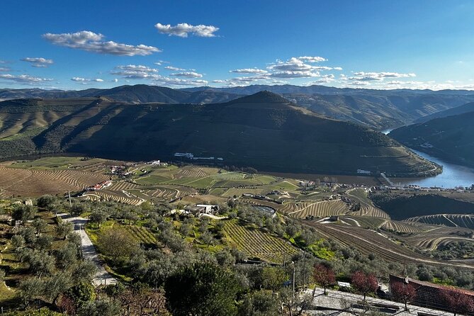 Douro Valley Half-Day Tour with Winery and Lunch From Porto - Price and Value From Porto: What You Pay For, and What You Skip