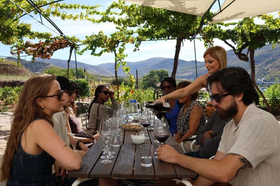 Douro Valley: Half-Day, with 1 winery & 1-h boat tour - Key things that make this Douro half-day work