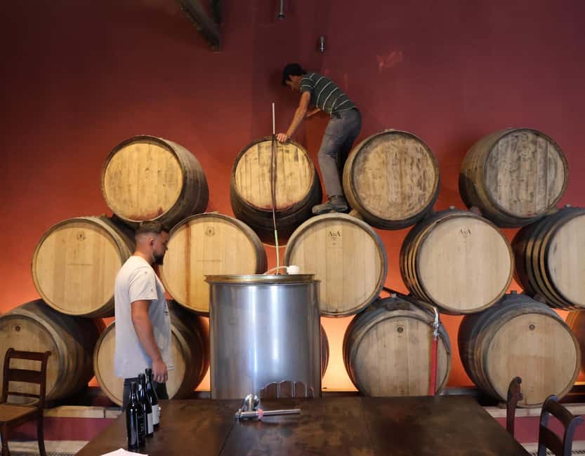 Douro Valley: Half-Day, with 1 winery & 1-h boat tour - Timing and pacing: why this tour feels like half a day but takes most of one