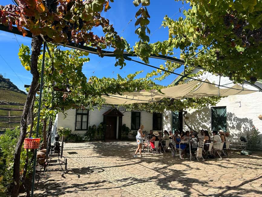 Douro Valley: Half-Day, with 1 winery & 1-h boat tour - Practical tips that make the day smoother