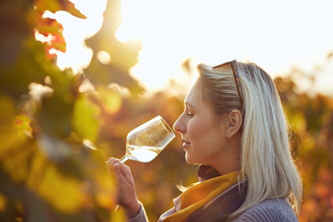 Douro Valley: Historical Sites, Wine Experience, Lunch & Cruise - Price and logistics, what you really get for about $107