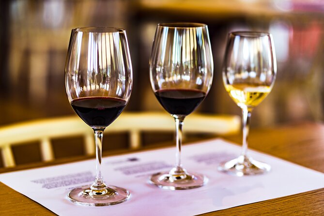 Douro Valley: Historical Sites, Wine Experience, Lunch & Cruise - Lunch with Douro table wines, the part you will feel later