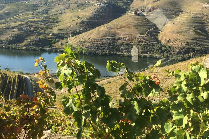 Douro Valley in off road - Private Tour - Key highlights worth booking for