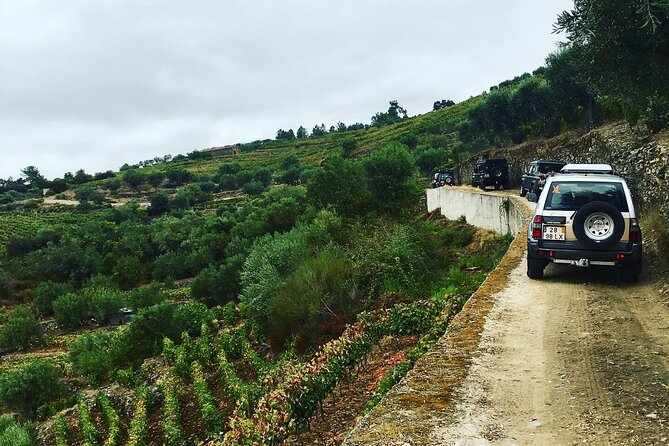 Douro Valley in off road - Private Tour - Porto pickup and a 9:00 start: what your day will actually feel like