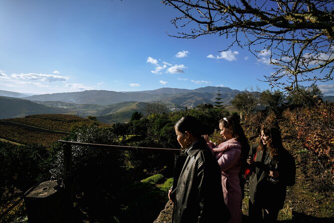 DOURO VALLEY: Lunch in a winery, tastings & 1-h private boat tour - Winery tastings that feel personal, not like a factory line