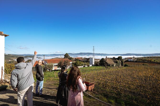 DOURO VALLEY: Lunch in a winery, tastings & 1-h private boat tour - The premium option in Pinhão: extra tasting time if you want more wine