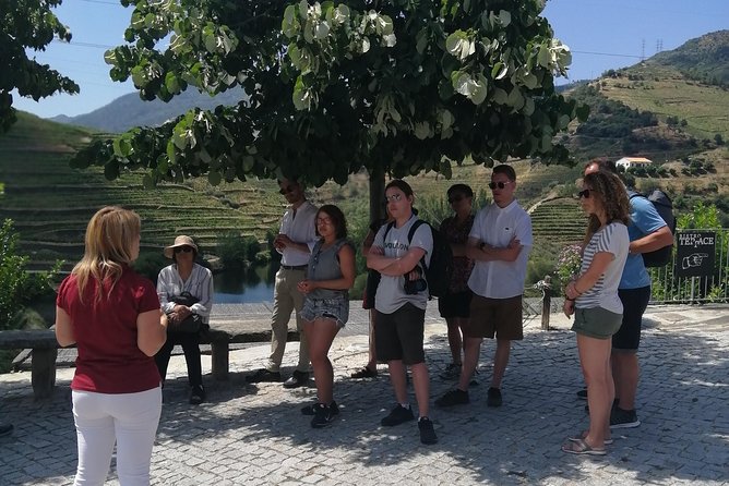DOURO VALLEY: Lunch in a winery, tastings & 1-h private boat tour - The Porto return: a relaxed ending after wine and water