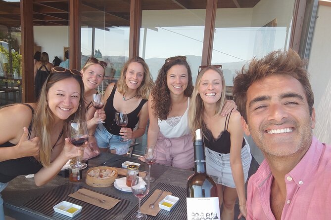 Douro valley Majestic - Key highlights you will actually care about