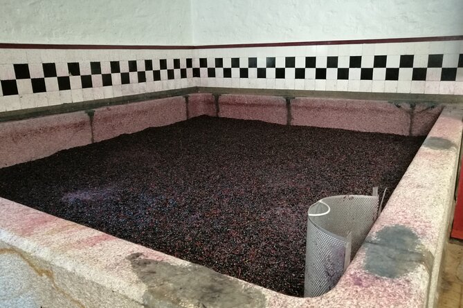 Douro valley Majestic - Pinhão: vineyard heart stop, wine time, and your 1-hour boat ride