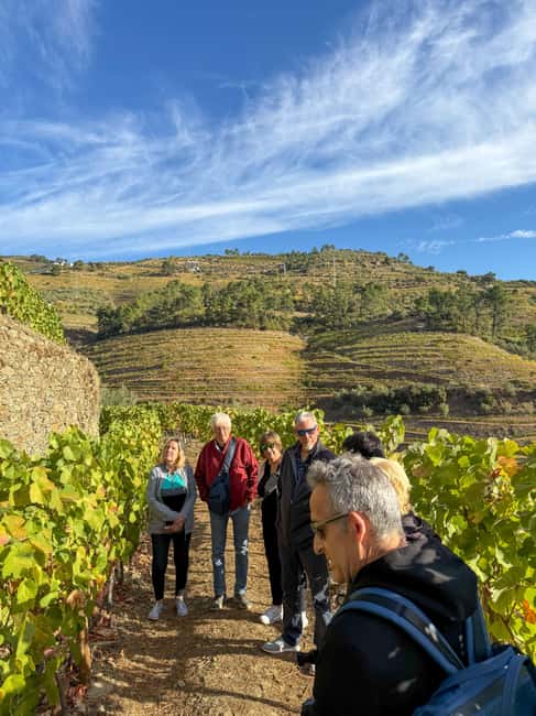 Douro Valley: Olive Oil & Wine Tour with Boat & Lunch - The best bits at a glance
