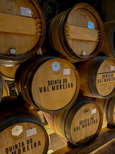 Douro Valley: Olive Oil & Wine Tour with Boat & Lunch - Vinho Verde tasting that actually teaches you something