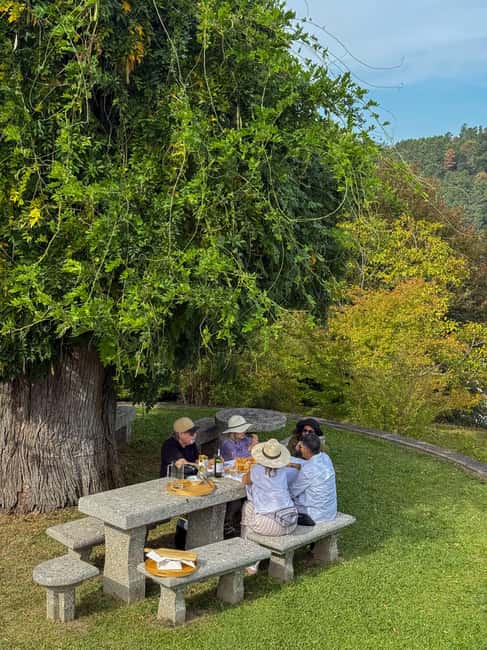 Douro Valley: Olive Oil & Wine Tour with Boat & Lunch - The organic, quiet stop at Quinta de Santa Eufémia
