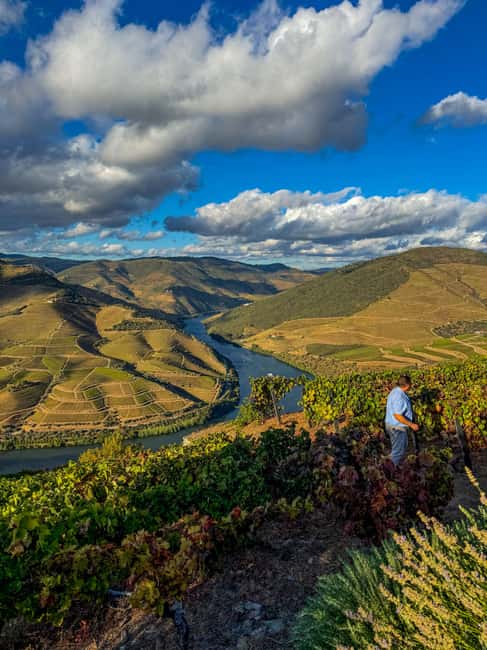 Douro Valley: Olive Oil & Wine Tour with Boat & Lunch - Lunch at an 18th-century manor, with Aunt Minda cooking