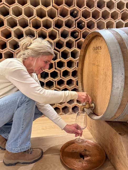 Douro Valley: Olive Oil & Wine Tour with Boat & Lunch - Traditional olive mill time, and why olive oil matters here
