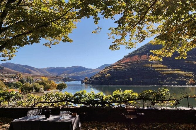 Douro Valley Pinhao Quinta da Foz Tour and Tasting 5 Wines - The tasting: 5 wines plus olive oil, and how to taste smart