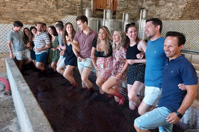 Douro Valley Pinhao Quinta da Foz Tour and Tasting 5 Wines - Who this tour is best for