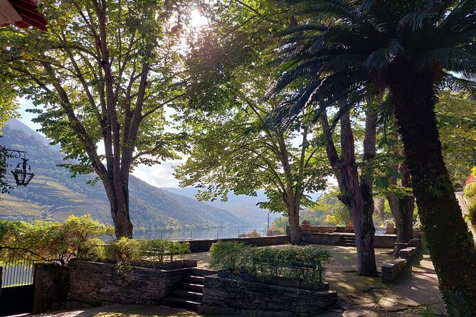 Douro Valley Pinhao Quinta da Foz Tour and Tasting 5 Wines - Price and value: what $42.24 buys you