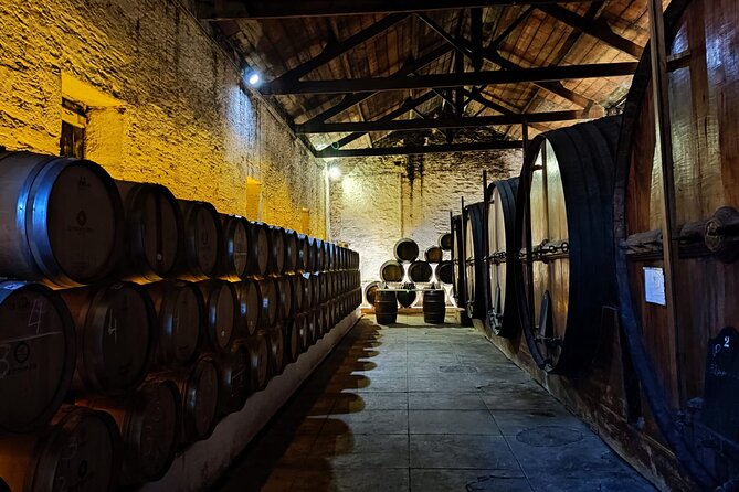 Douro Valley Pinhao Quinta da Foz Tour and Tasting 5 Wines - The winery stop: barefoot winemaking and the dry-wine focus