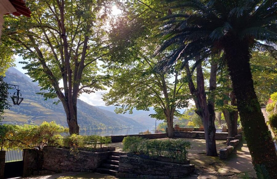 Douro Valley: (Pinhão) Quinta da Foz - Tour&Tasting 5 WINES - Quinta da Foz in Pinhão: classic Douro winery feel
