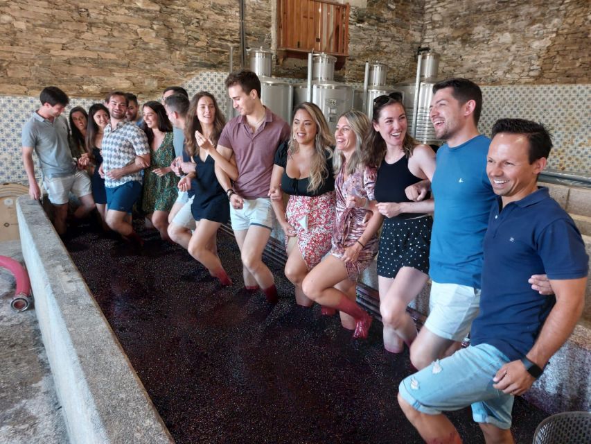 Douro Valley: (Pinhão) Quinta da Foz - Tour&Tasting 5 WINES - Vinification and the cellar: production details that make the tasting click