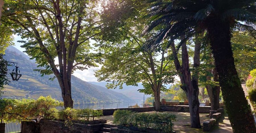 Douro Valley: (Pinhão) Quinta da Foz - Tour&Tasting 5 WINES - Should you book Quinta da Foz Tour and Tasting 5 Wines?