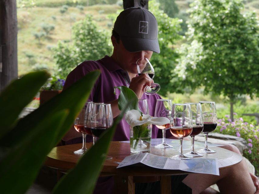 Douro Valley: Premium Port Tasting Winery Tour & River Views - Key Highlights at a Glance