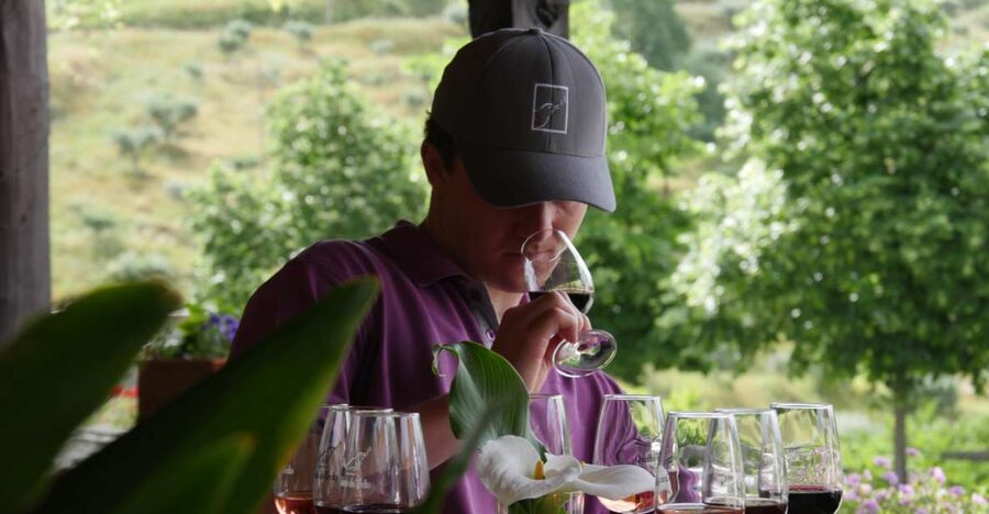 Douro Valley: Premium Port Tasting Winery Tour & River Views - Why This Douro Valley Winery Tour Works in 90 Minutes