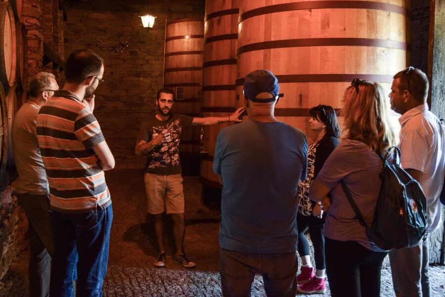 Douro Valley: Premium Port Tasting Winery Tour & River Views - Vineyard and Olive Grove Stroll: Views With Context