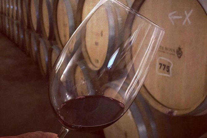 Douro Valley Premium Private - Timing, group size, and how to make the most of 9 to 12 hours